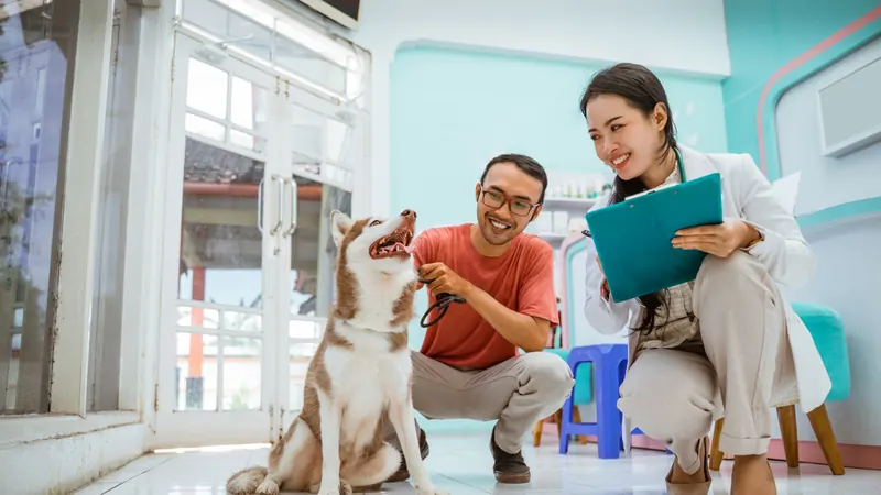 AI marketing automation for Veterinary Practices