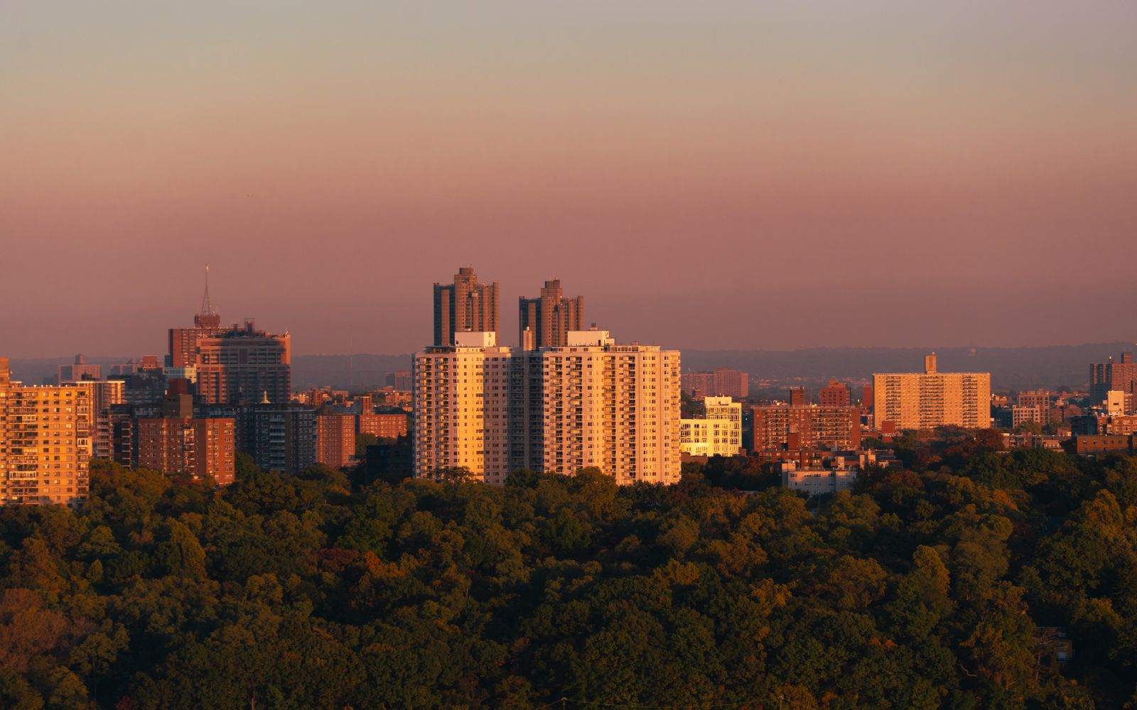 White Plains marketing